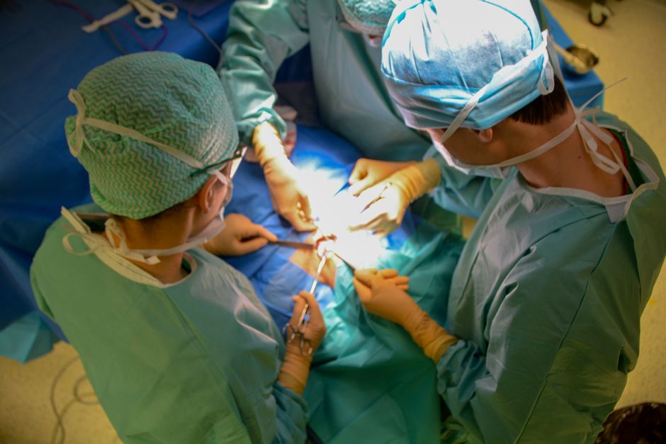 Surgical team performing small intestine transplantation procedure in Korea