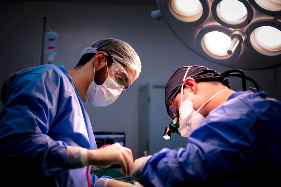 Small Intestine Transplantation