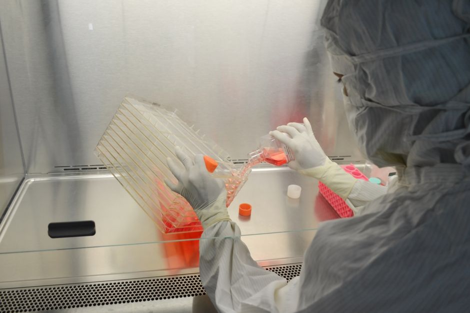 Time-Lapse Embryo Monitoring